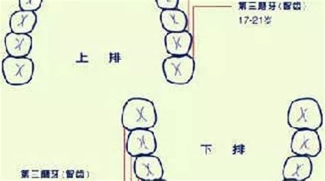 門牙突出面相|面相大全——牙齒